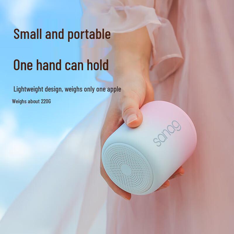 sanag X6 Portable Bluetooth Speaker CN plug (adapter included)