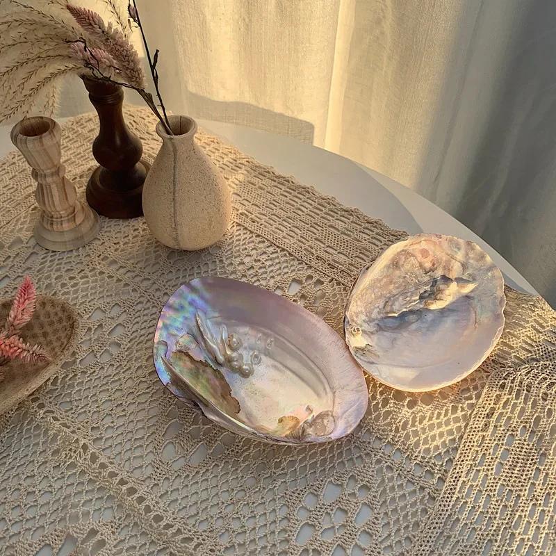 Large Natural Shell Decorative Plate for Jewelry Storage, Home Decor, Nordic Jewelry Background and Photo Props