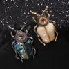 Creative Fashion Shell Design Beetle Badges Buckle For Women Men Classic Insect Series Suit Office Unisex Clothing Pins