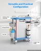 Medical Cart 110 kg Max Load Medical Trolley Cart with Cabinet, for Hospital, Clinic, Laboratory, Stable Support, with 2 Drawers, Silent Rolling