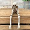 1pc Human Skeleton Simulation Halloween Decoration Graduation Season Decorations Goth Family Decorations Scary Cabin Decorations