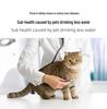 Smart Stainless Steel Pet Water Fountain with Automatic Circulation and Filtration for Cats