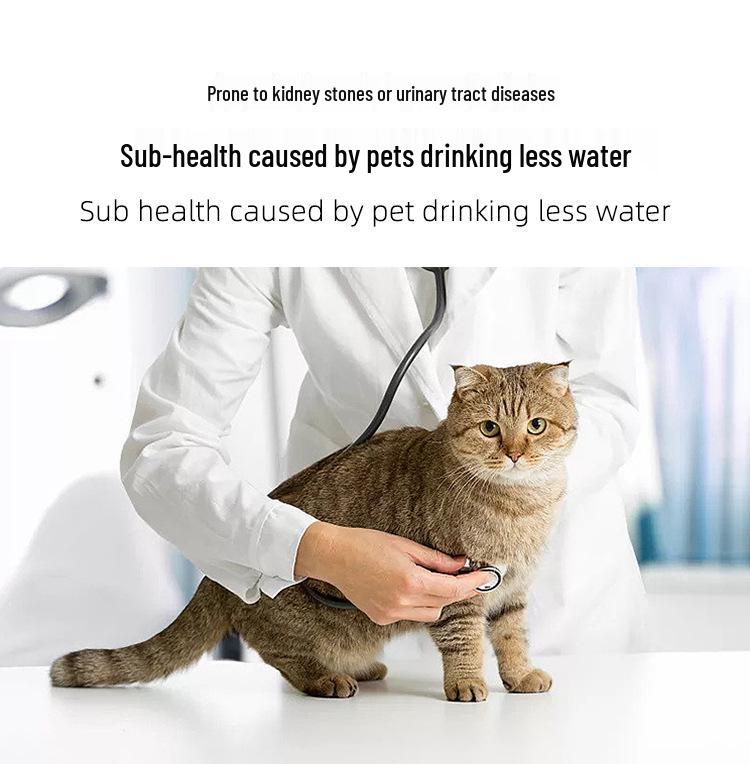 Smart Stainless Steel Pet Water Fountain with Automatic Circulation and Filtration for Cats