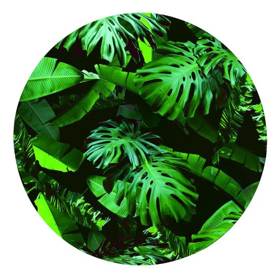 Spring Fitted Tablecloth Round Floral Tablecloth with Elastic Edge Rustic Flower Plant Patterns Table Cover for Picnic Farmhouse Home Party Decor