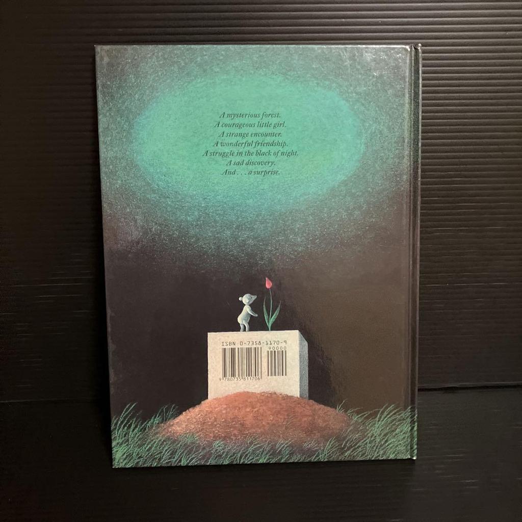 [USED] English version picture book Binette Schroeder Laura and the Mysterious Egg