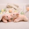 Wu Lula Lucky Pig Cute Doll Simulation Pig Plush Toy Pink Pig Doll Activity Gifts Wholesale