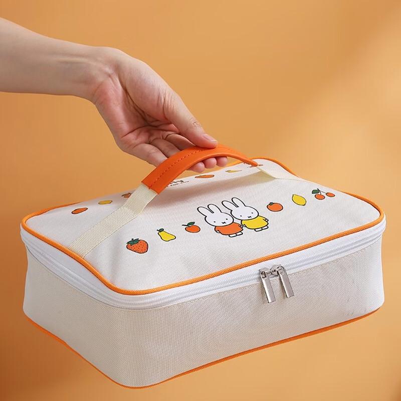 ZISIZ Portable Insulated Lunch & Picnic Bag