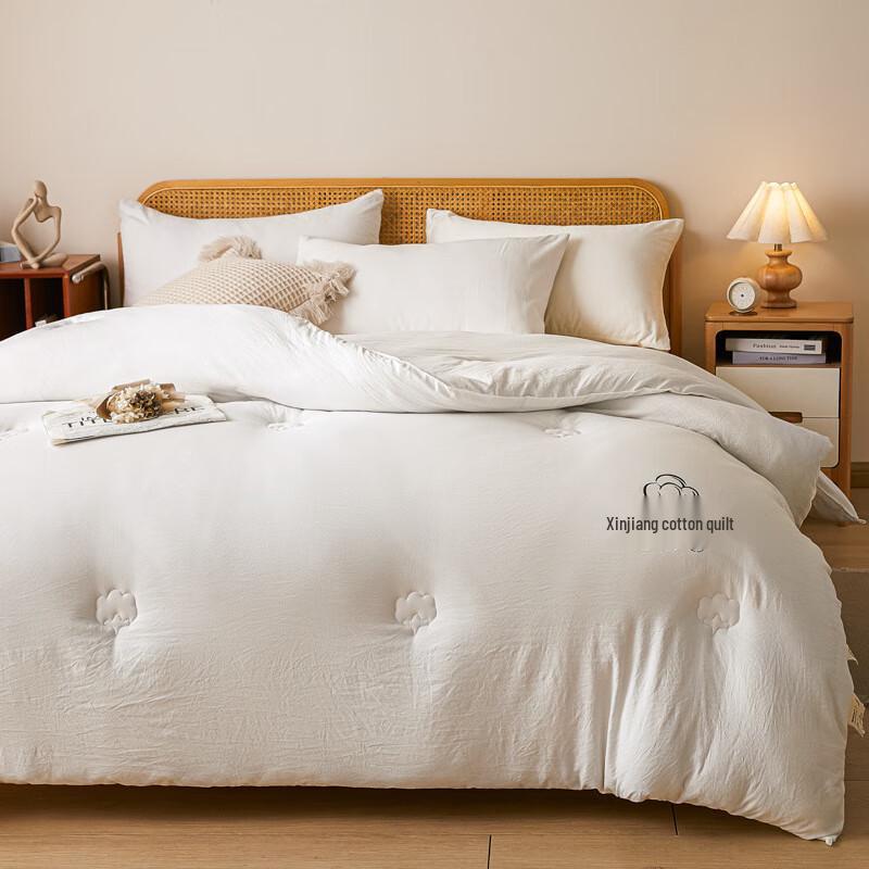 Fuyuefen Thickened All-Season Quilt