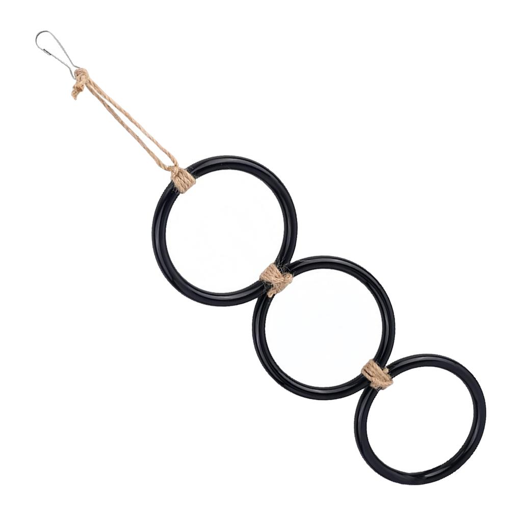 Safe Snake Climbing Rings Toy for Small Pet Flexible Hanging Rings Exercise Toy for Reptiles Training Cage Decoration