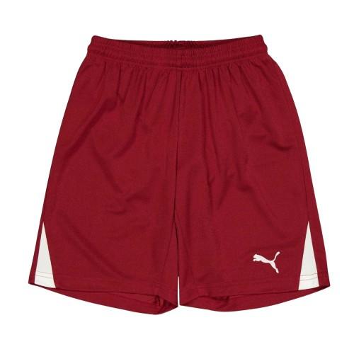 Puma Childrens/Kids Team Logo Football Shorts
