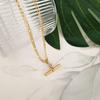 Elegant Women's T-Shaped Titanium Steel Necklace - Light Luxury Style Clavicle Jewelry