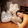 Thickened Cartoon Animal Pillow Hand Insertion Type Nap Pillow Throw Pillow Blanket  Summer Winter