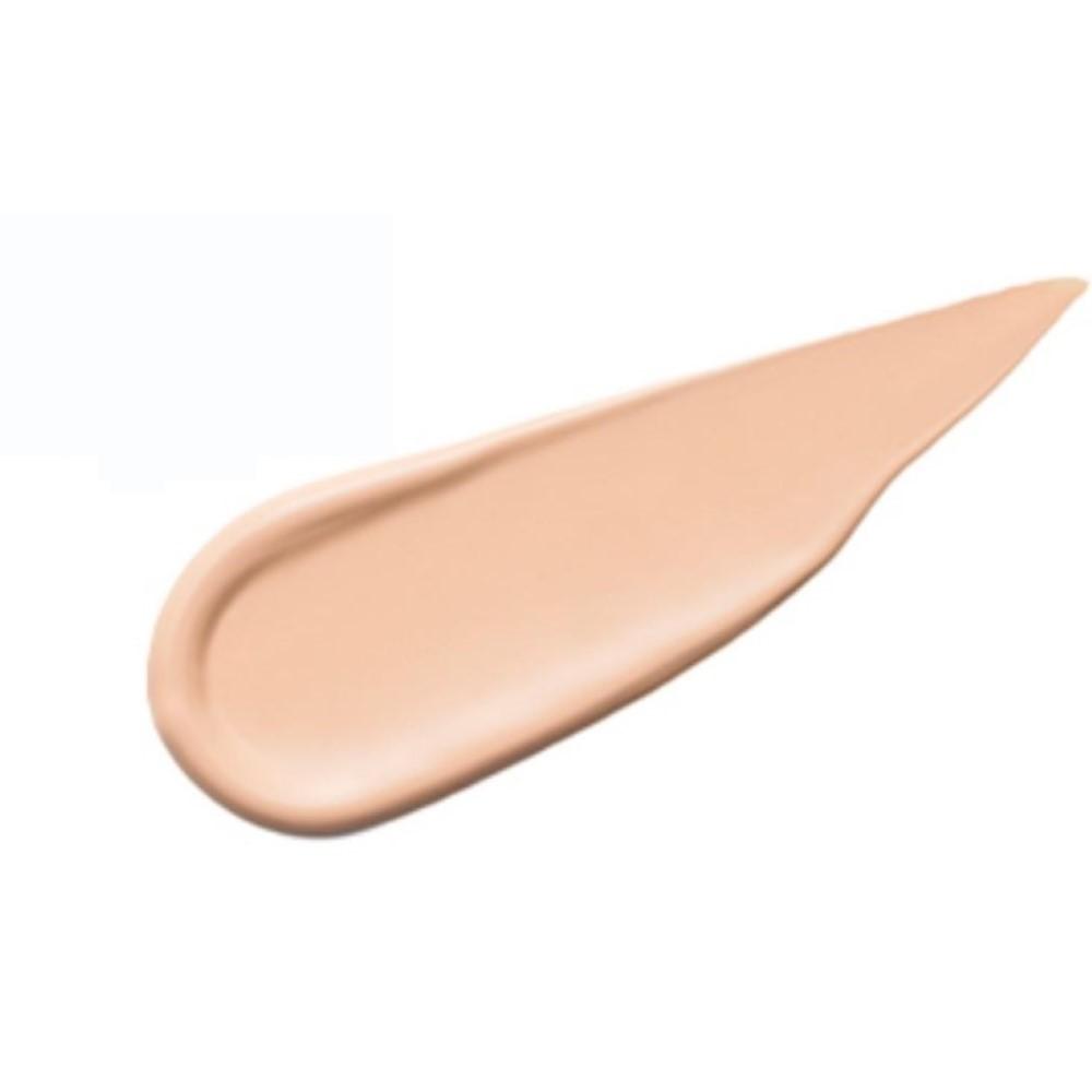 THE SAEM Cover Perfection Tip Concealer 9.5g