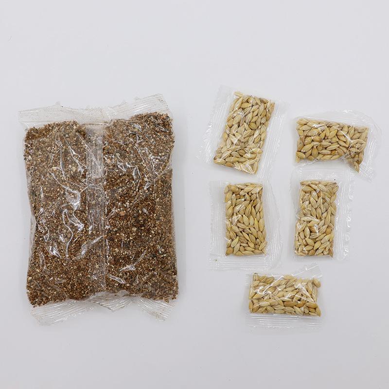 Cat Grass Barley Helps Remove Hairballs. Cat Grass Soil Nutrition Soil Cat Grass Set Cat Zero