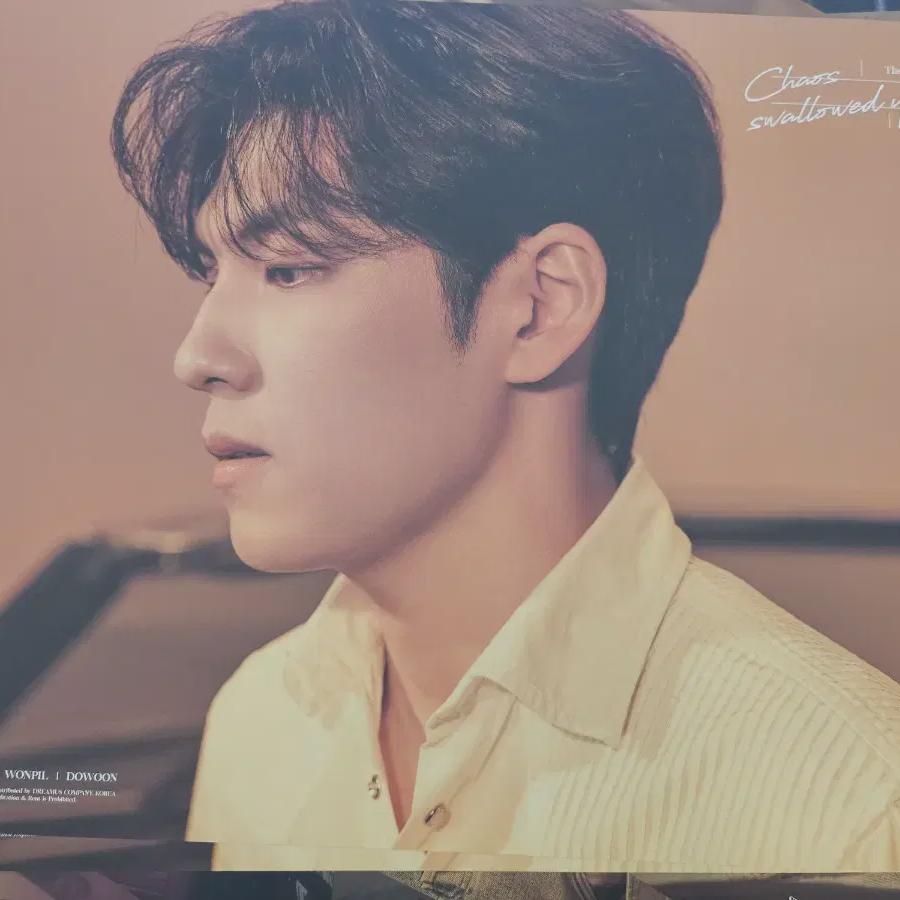 DAY6 Негэнтропия Двусторонний плакат Вонпиль