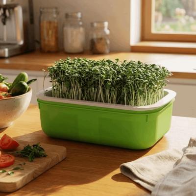 2Pcs High Ventilation Germination Tray Double Layer Hydroponic Planting Tray  Household Cultivation