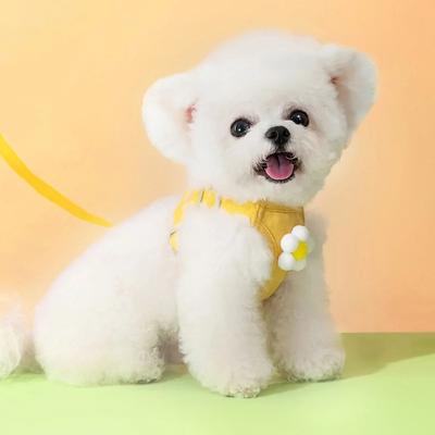 Postroj pro psa pro malé až střední psy Módní štěněcí hrudní popruh Nastavitelný postroj pro kočky Vesta pro domácí mazlíčky Lano pro venčení psů Psí doplňky