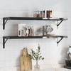 VidaXL Wall Shelves 2 Pcs 100x30x3 Cm Black Stainless Steel, Floating Shelf, Wall Display Shelf, Panel 30288