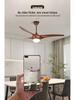 Modern Frequency Conversion Ceiling Fan with Light for Living Room and Bedroom