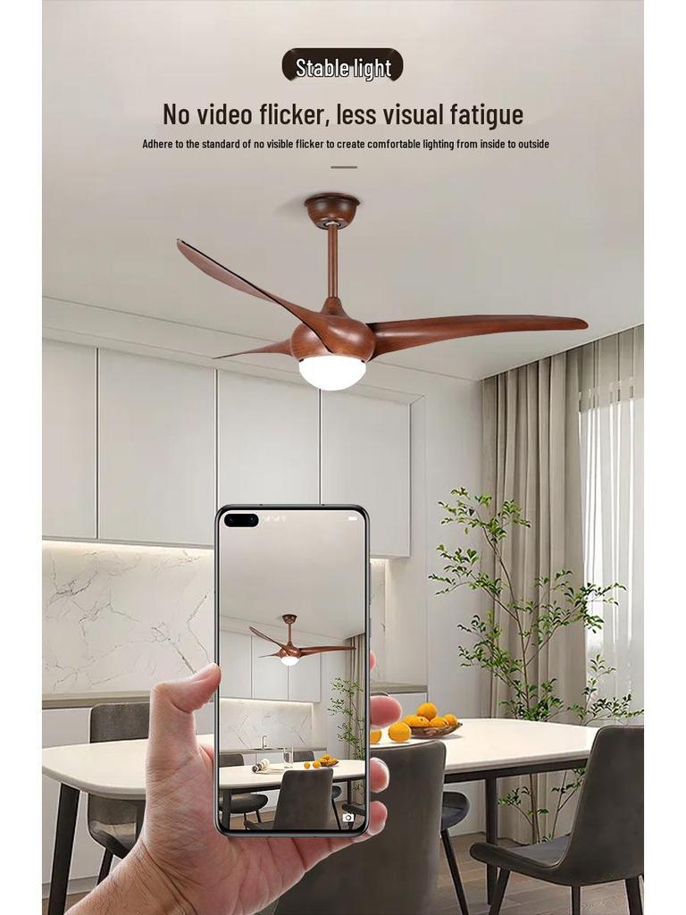 Modern Frequency Conversion Ceiling Fan with Light for Living Room and Bedroom