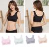Seamless Plus Size Padded Sports Bra With Breathable Elastic And U Back Design