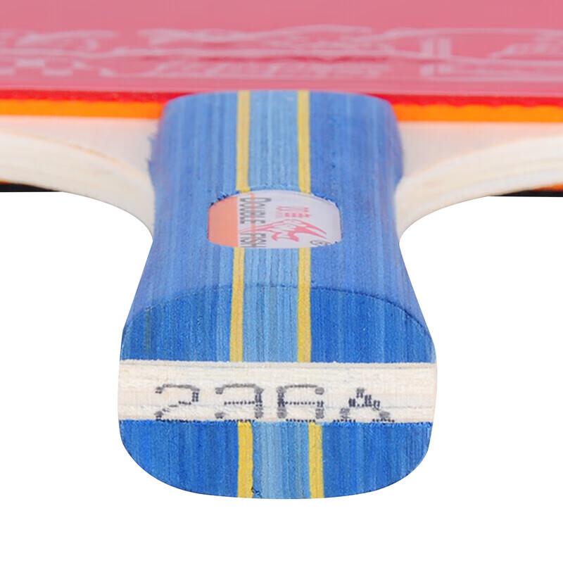 Double Fish Table Tennis Racket Set