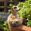 Figurina Realistica di Suricato in Resina per Decorazione Animale da Giardino