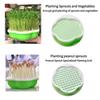 Hydroponic Peanut Sprout Germination Box Seedling Tray Planting Pot for Bean Sprouts - Gardening Tool for Home Farming