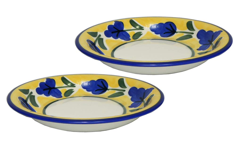 

Campagna Pasta & Curry Plate Set (2 plates) - Made in Japan, Mino Ware - Perfect for Casual Italian Restaurants [Idaten Tableware - select] (Campagna)