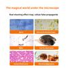 High Magnification Constant Temperature Heating Biological Microscope for Professional Aquaculture To Observe Sperm, Eggs