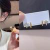 Female Light Luxury Niche Fashion Temperament Versatile Star Earrings
