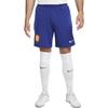 Nike Casual Shorts Men's Royal Blue Moderate DH6471-455