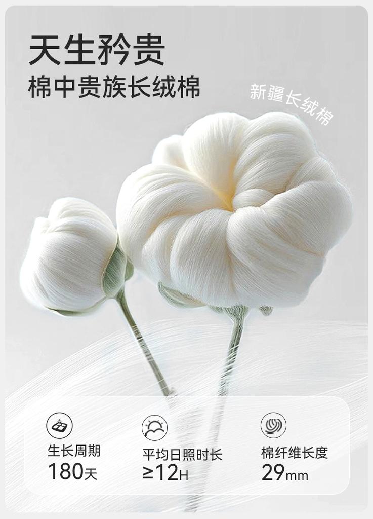 7A Antibacterial Cotton Flat Corner Underwear (2-Pack)