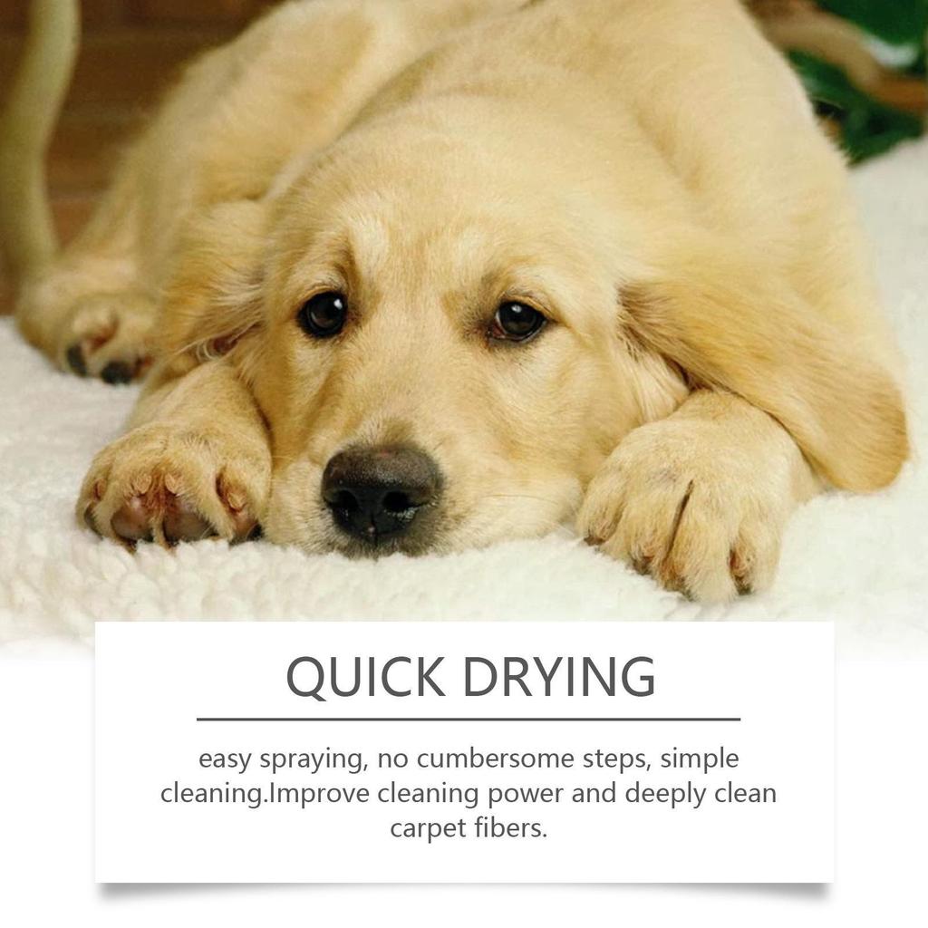 YEGBONG Pet Stain Carpet Cleaner for Cats and Dogs - Decontamination and Deodorization Formula for Stubborn Pet Stains