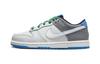 Dunk Low Anti Kick Cushioning Low Top Kids' Skateboarding Shoes Gray Blue Children Aged 3 7 Years Old DH9756-004