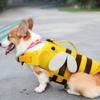 Dogs Pool Cloth Preservers with High Buoyancy Life Preservers Belt