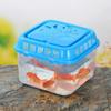 Transparente Reptilienfutterbox Kunststoff Mini-Fischaquarium Reptilientransportbox Tragbares Aquarium Zuhause