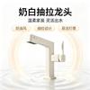 Qidanna Pull-Out Basin Faucet