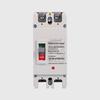 Molded Case 2P Circuit Breaker 100-250A Single-Phase 220V Double Pole Air Switch