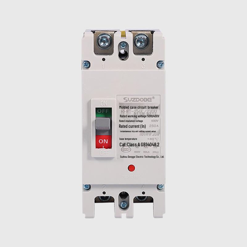 Molded Case 2P Circuit Breaker 100-250A Single-Phase 220V Double Pole Air Switch