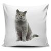 Cute Cat Print Pillowcase Car Ornaments Office Living Room Home Pillowcase