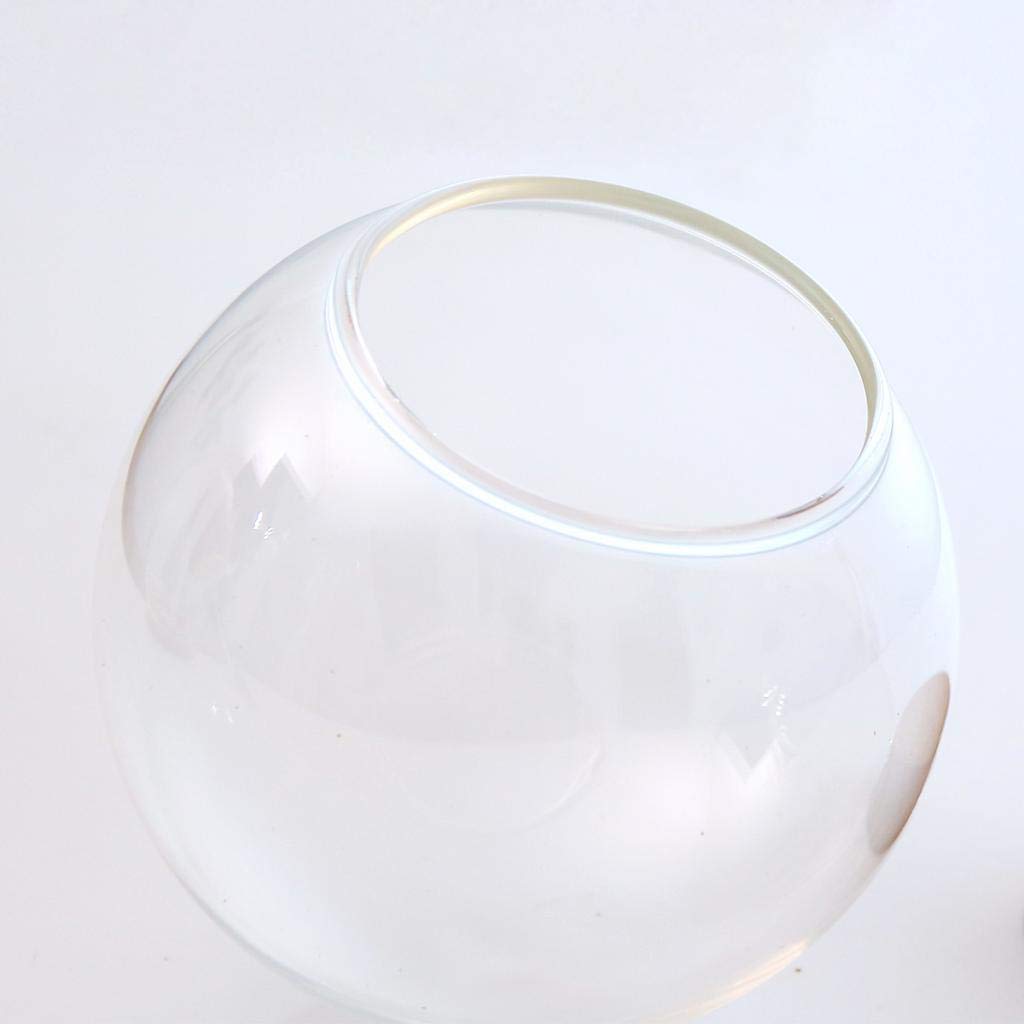 Fenteer 2-Piece 12cm Diameter Glass Dome Cover with Wood Cork, Cloche Jar Terrarium, Wedding Reception Decoration, Miniature Craft