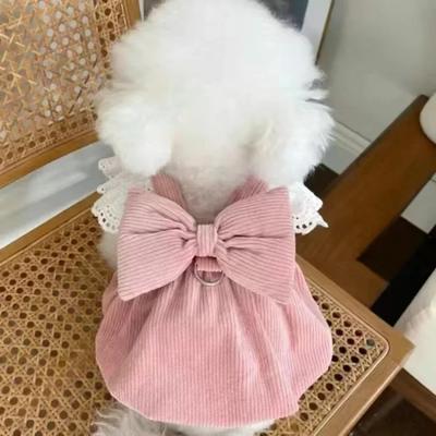 Ropa para Mascotas Otoño/Invierno Nueva Falda de Pana Calabaza Hebilla de Tracción Gato Teddy Falda Cálida de Encaje Vestidos para Cachorros para Perros Pequeños