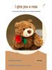 Rose Teddy Bear Plush Doll - Cute Gift for Girls