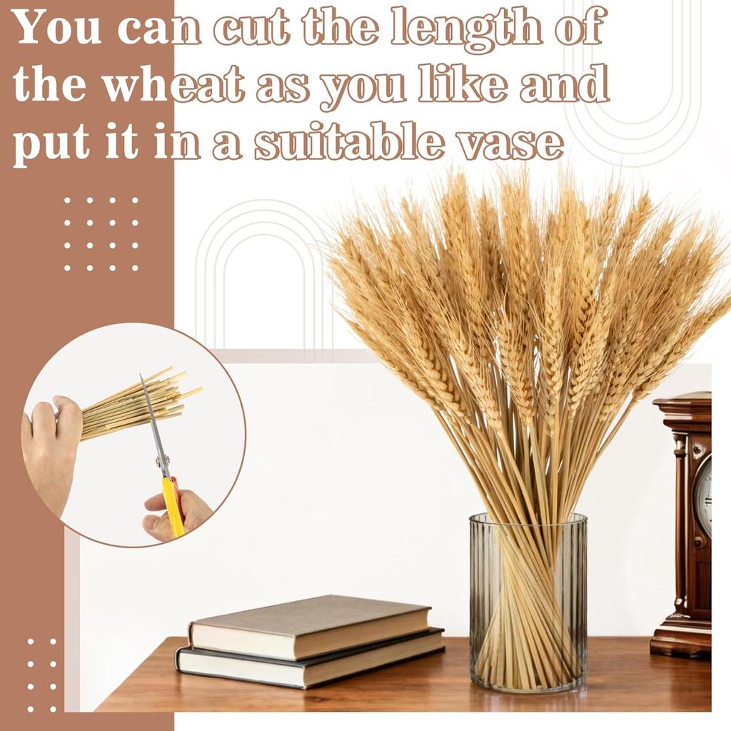 100 Pcs Dried Wheat Stalks for Decor, Sheaves Grass Natural Bunch Flowers Home Wedding Table Kitchen Boho Farmhouse Fall Arrangement DIY Decoration