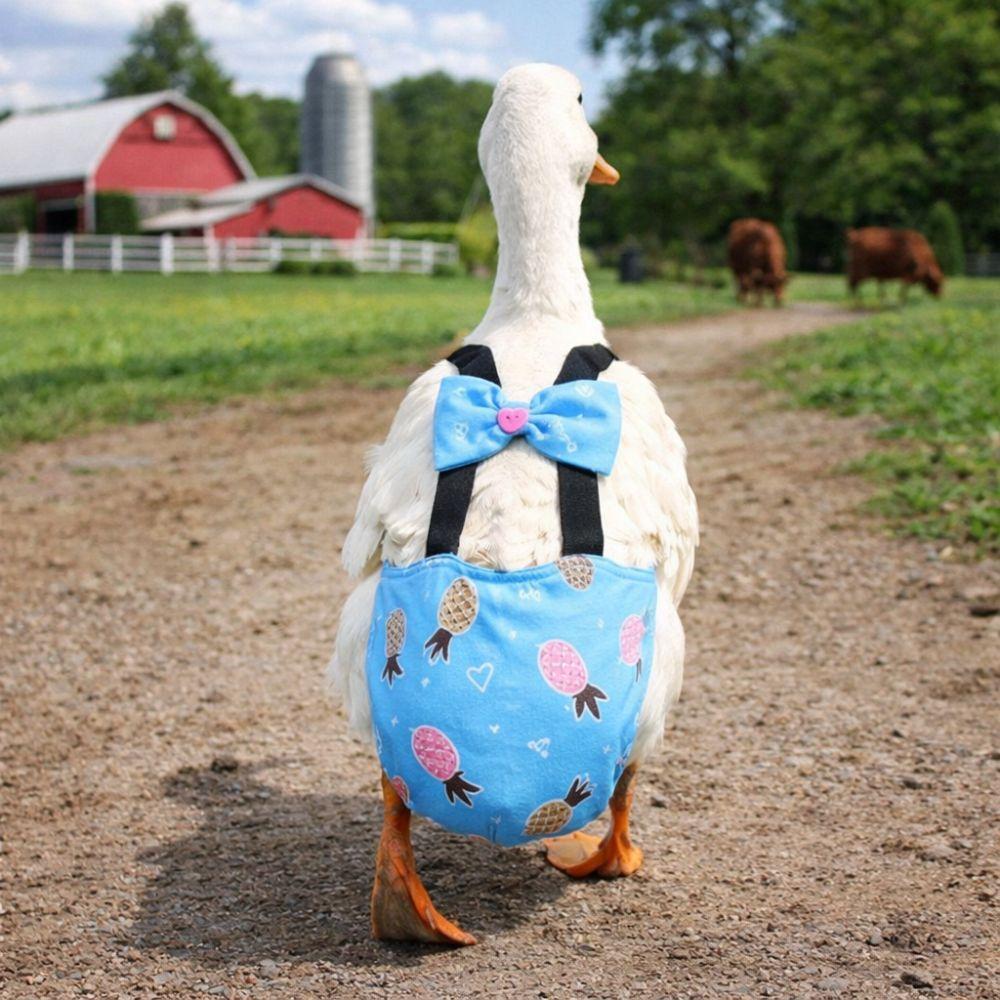 Elastisches Band Entenwindeln Verstellbare Geflügelwindel Wiederverwendbare Fluganzüge Geflügelpflege