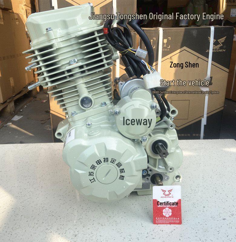 Compatible Engine Head for Jiangsu Three-Wheeled 150/200/300 Bingwei Xin Chaoba Weifeng Hanwei Motors