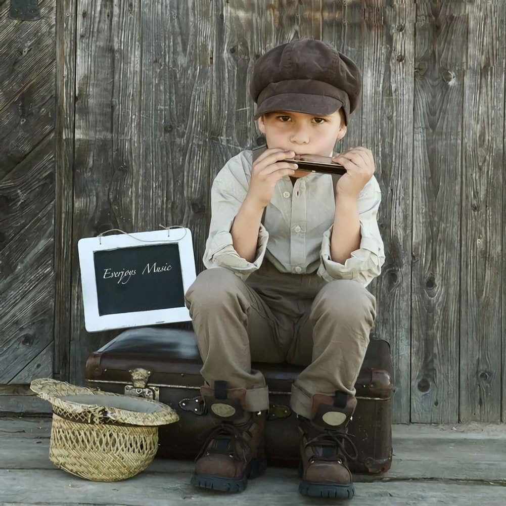 EVERJOYS Diatonic Harmonica 10 Hole Blues Harp with Polishing Instruction Key of C Case, Cloth, Manual,