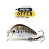 Limited Special Offer 3cm 1.5g Floating Wobblers for Bass Crankbaits Fishing Lure