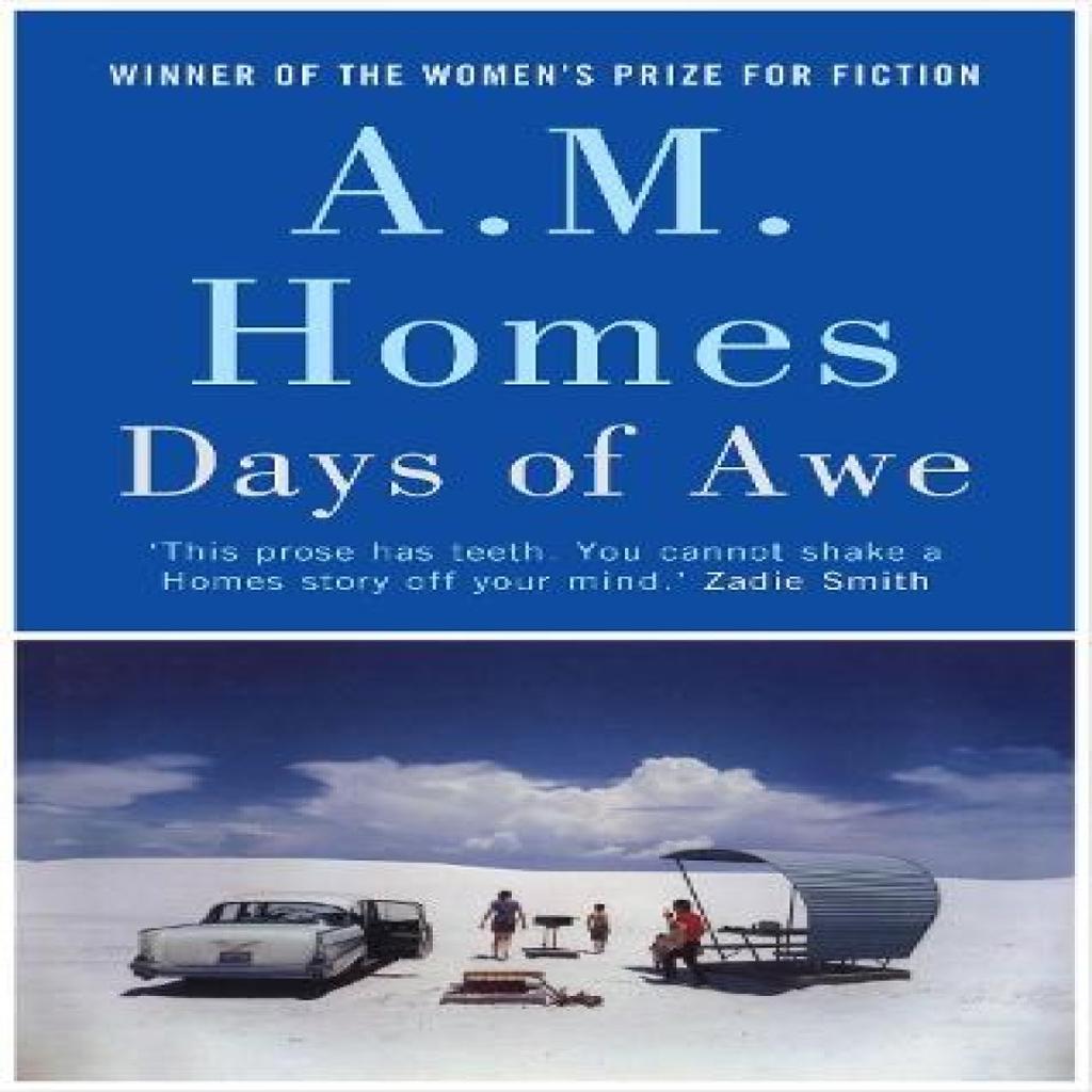 Days of Awe by A.M. Homes Hardback Book 9781847083258